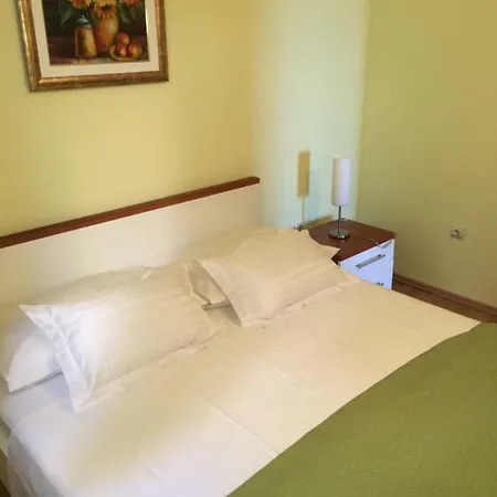 Apartman Tatjana 公寓