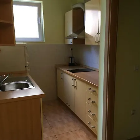 Apartman Tatjana 公寓